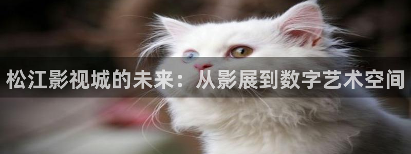 四虎影视最新免费视频：松江影视城的未来：从影展到数字艺术空间