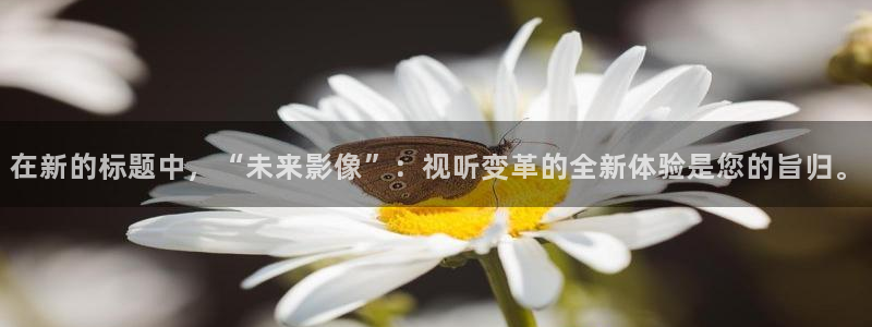 www·四虎影院.com：在新的标题中，“未来影像”：视听变革的全新体验是您的旨归。