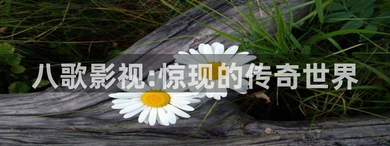 四虎影视海外版：八歌影视:惊现的传奇世界