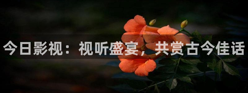 四虎电影新网址：今日影视：视听盛宴，共赏古今佳话