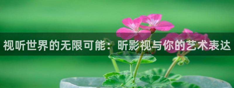 四虎影院欧美：视听世界的无限可能：昕影视与你的艺术表达