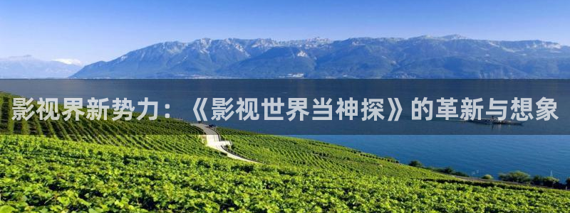 四虎精品视频在线观看：影视界新势力：《影视世界当神探》的革新与想象