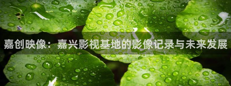 四虎激情影视：嘉创映像：嘉兴影视基地的影像记录与未来发展