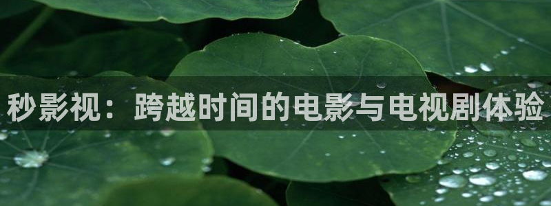四虎影院网址入口